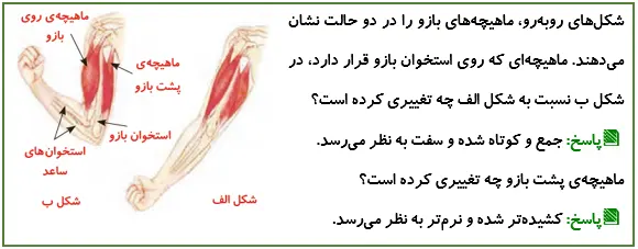 جواب سؤال صفحه 37 علوم پنجم
