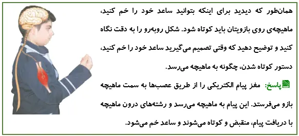 جواب گفتوگو صفحه 44 علوم پنجم