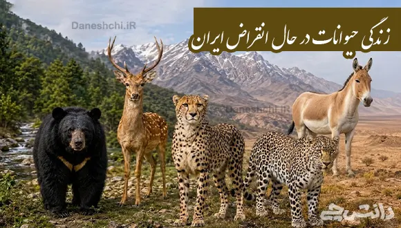 تحقیق در مورد زندگی حیوانات در حال انقراض ایران