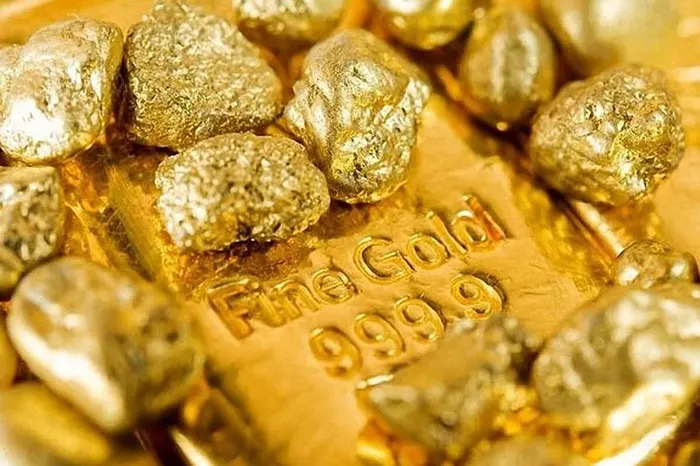یک قطعه طلای آبشده با چند طلای خام روی آن
