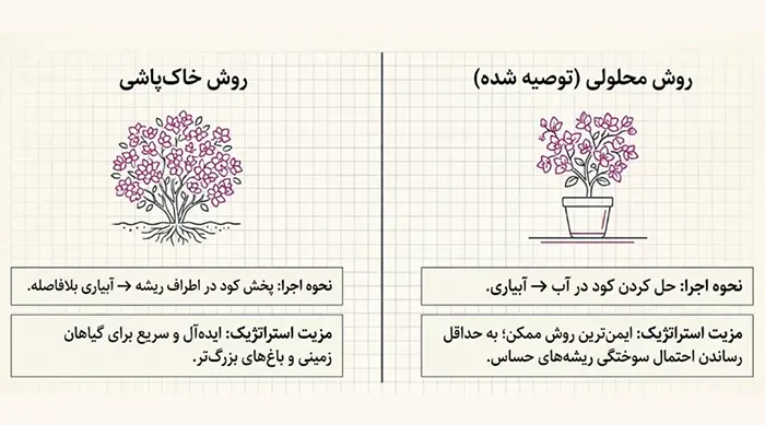 کود برای گلدهی گل کاغذی