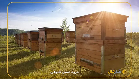 خرید عسل طبیعی