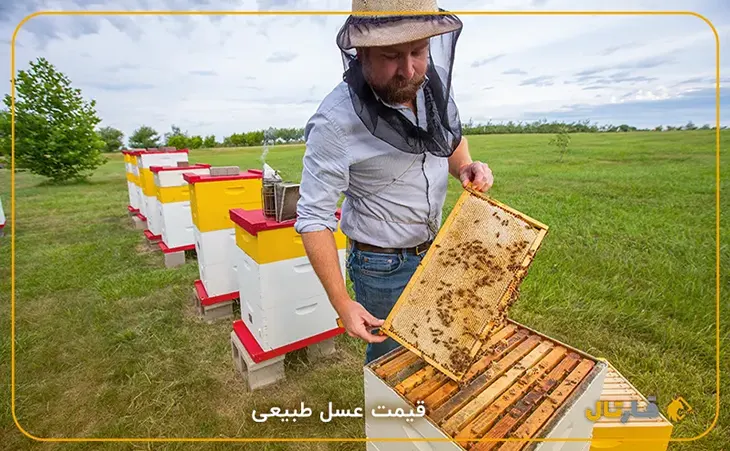 قیمت عسل طبیعی