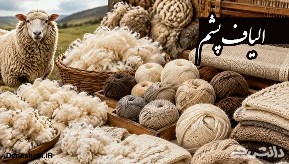 تحقیق در مورد الیاف پشم و کاربردش