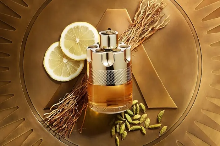 آشنایی با تعدادی از عطرهای محبوب آزارو