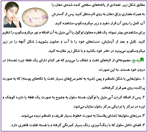 آزمایش کنید صفحه 78 علوم ششم