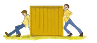 آزمایش کنید صفحه 45 علوم ششم
