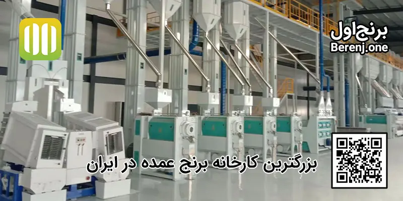 خرید برنج از کارخانه