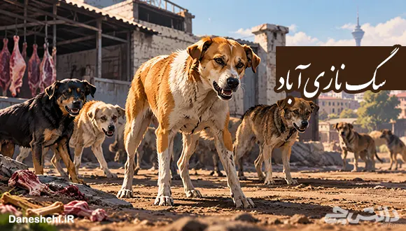 معنی اصطلاح "سگ نازی آباد"